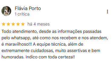 Avaliação Google   Flávia Porto
